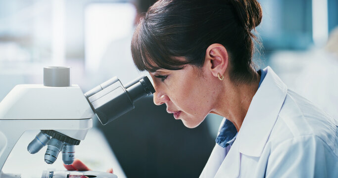 Science, study or woman in lab with microscope, investigation or examination in biochemistry. Clinical research, review or scientist with equipment, medical analysis or inspection in rna development.