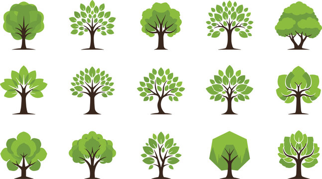 Large Vector Collection of Individual Deciduous and Coniferous Trees Featuring Pine Spruce Oak and Various Potted Houseplants for Nature and Landscape Design