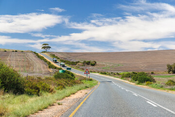 Naklejka premium Asphalt road in South Africa surrounded by fields