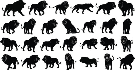 Fototapeta premium Male lion graphic illustrations featuring powerful roaring poses