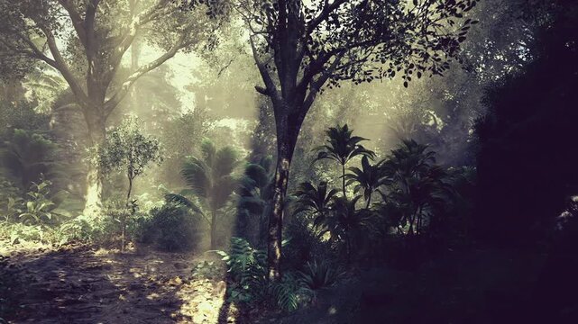 Biodiversity corridor lit by morning rays, dense understory plants and ferns indicating healthy ecosystem, ideal for conservation, research and educational