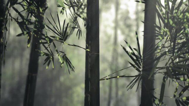 Renewable bamboo grove symbolizing sustainable resource, tight culms ideal for construction and design, textured surfaces and natural material narrative for eco