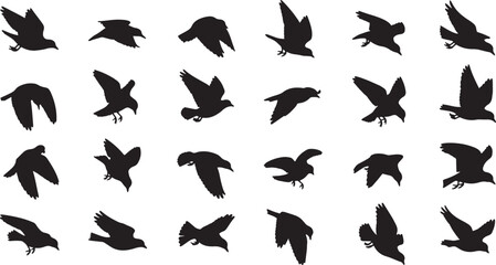 flock of birds flying and diving silhouettes vector illustration