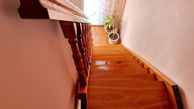 Polished wooden staircase with handrail leading to a bright landing, where potted plants sit near a sunlit window with sheer curtains, creating a warm and natural home atmosphere