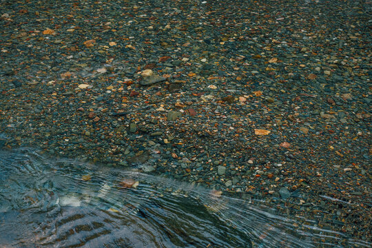 Clear river water flowing over colorful pebbles in natural stream