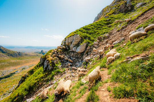 Sedlo Pass and Boljske Grede mountain massif in Durmitor National Park, Montenegro. Hiking in mountain from prevoj saddle to Sedlena greda