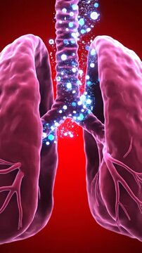 Medical Animation of Human Lungs with Glowing Particles Representing Airflow.