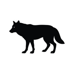 Obraz premium Silhouette of a wolf standing on all fours, black and white vector illustration design, wolf marking territory silhouette vector illustration