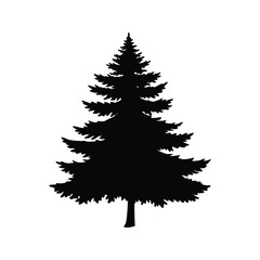 Fototapeta premium black and white pine tree with detailed branches silhouette vector illustration, pine tree silhouette vector illustration