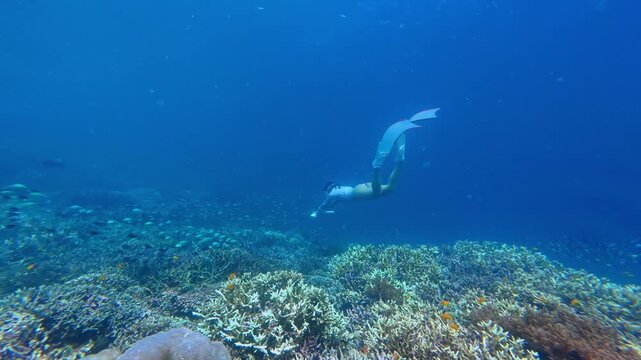Woman Freediving with Underwater Exploration in Tropical Waters Over Colorful Coral Reef	