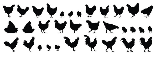 hen or chicken, rooster and chicks silhouette set. hen, rooster and chicks isolated farm animal silhouette icon vector collection © Yanka