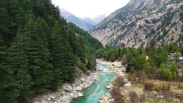 A scenic landscape of the Harsil Valley showing a turquoise river flowing through dense pine forests and rocky terrain, with small houses and blooming trees surrounded by towering  mountains 