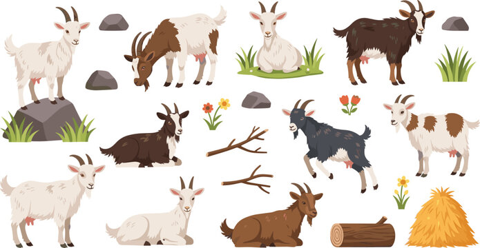 Farm goat vector illustration set featuring domestic goats in various poses with haystack logs rocks and flowers for agricultural and rural themed designs.