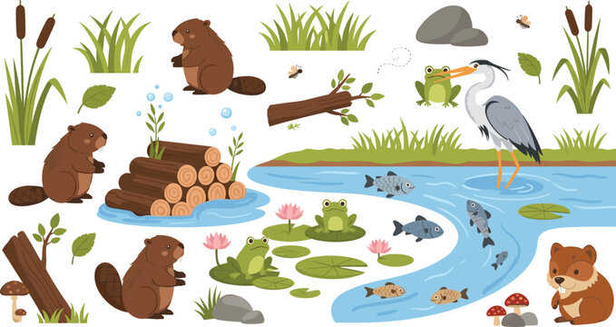 Cute Pond Wildlife Cartoon Set with Beavers, Heron, Frog, Fish, Water Plants, Logs, Lily Pads and Freshwater Nature SceneCute Pond Wildlife Cartoon Set with Beavers, Heron, Frog, Fish, Water Plants, L