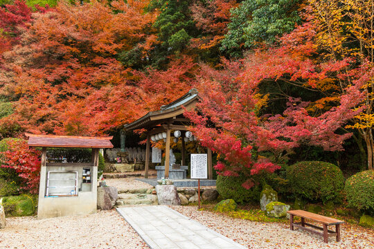 日本の風景・秋　佐賀　紅葉の仁比山地蔵院
