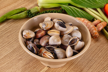 Raw fresh wild clams mollusc © Andrei Starostin