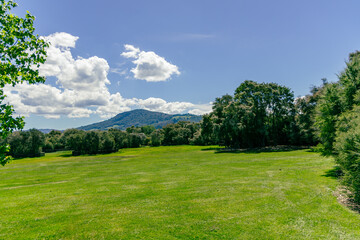 Obraz premium Sunny Meadow Near Forested Hill Under Clouds