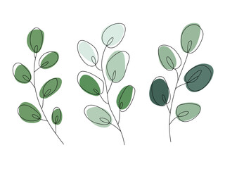 Fototapeta premium Minimalist green eucalyptus branches with black outline white background leaf