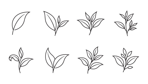 Green tea leaf icons set showing various plant growth stages and sprout branches vector illustration