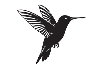 Obraz premium Black and white hummingbird in flight with detailed wings