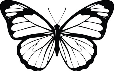 A black and white illustration of a butterfly with detailed wings and body © eas2021gkr