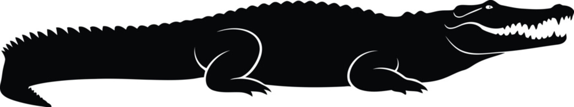 Black silhouette of a crocodile on a white background