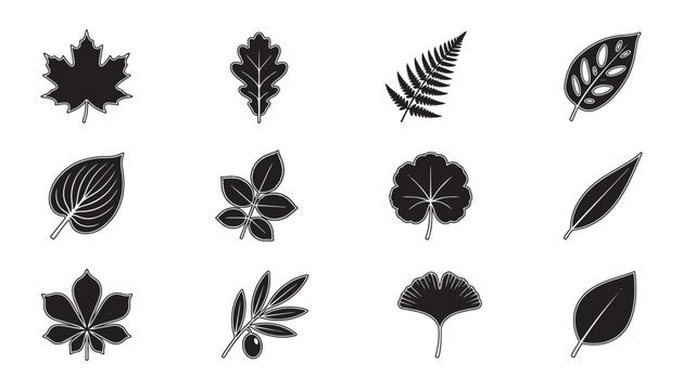 Collection of diverse plant leaves silhouettes maple oak fern ginkgo