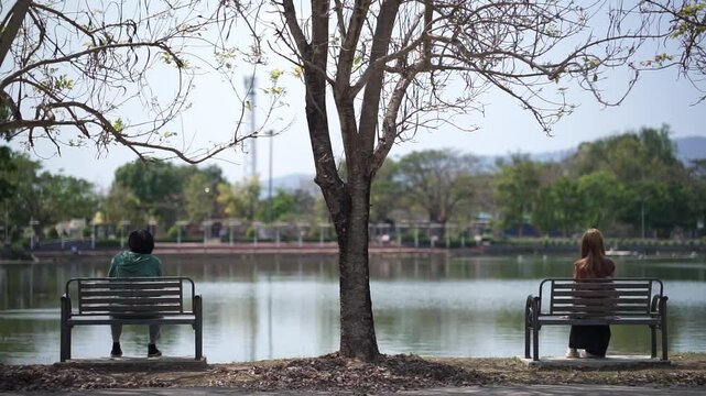 Cute tricolor calico cat lying on its back, yawning, stretching, and rolling playfully on a concrete path outdoors on a sunny day.