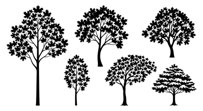 Black silhouette trees collection, maple leaves, isolated on white background