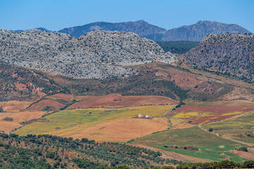 Fototapeta premium Landscape near the city of Ronda, Andalusia, Spain