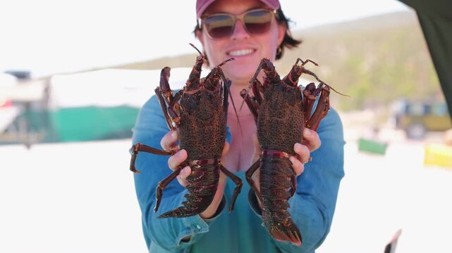 Young woman at campsite holds up two big live freshly caught rock lobster