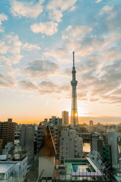 Tokyo Sky Tree During Sunrise