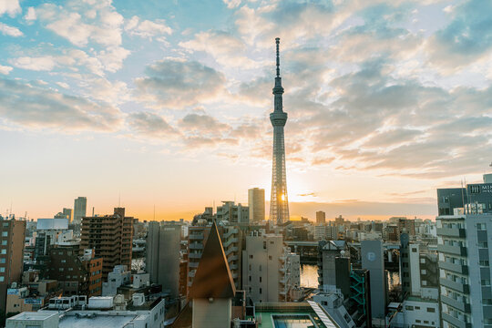 Tokyo Sky Tree at Sunrise