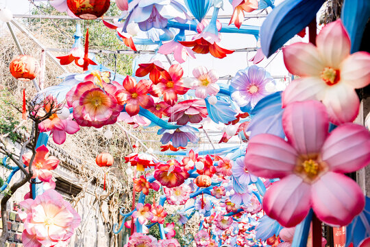 Chinese New Year Floral Decorations in Nanjing Lao Men Dong 2026