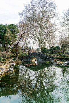 Chinese Garden with Pond and Bridge