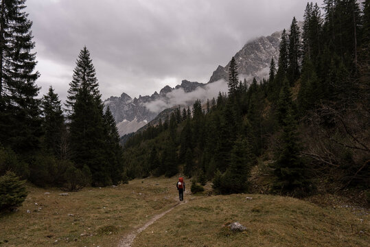 Hiker on a trail in a lush alpine forest
