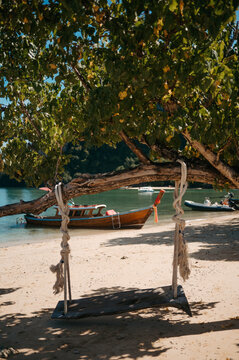 Rope swing on tropical beach at Pak Bia Island, Hong Islands, Krabi