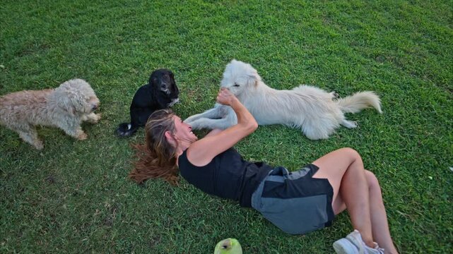 A woman relaxing on a grassy field while surrounded by several friendly dogs. the positive relationship between dogs and human