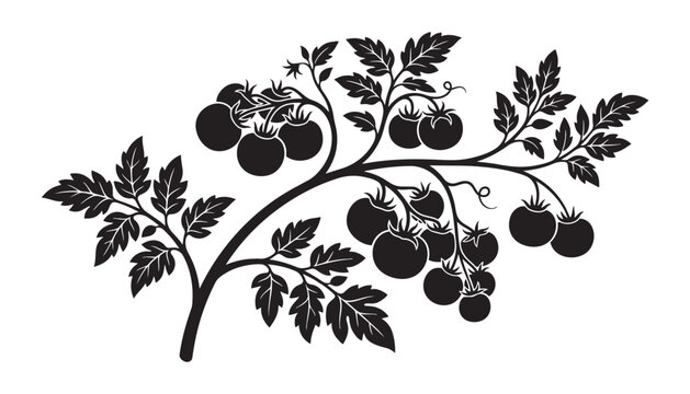 Tomato plant branch with ripe red tomatoes and green leaves in a silhouette vector illustration