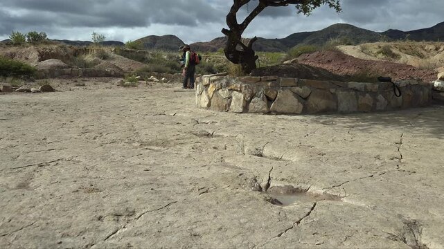 Two people examine fossilized dinosaur footprints in rock, Bolivia