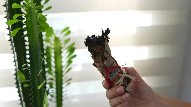 A close-up shot of a hand holding a sage bundle near green indoor plants. The composition highlights texture and detail, enhanced by soft natural lighting and a serene atmosphere.