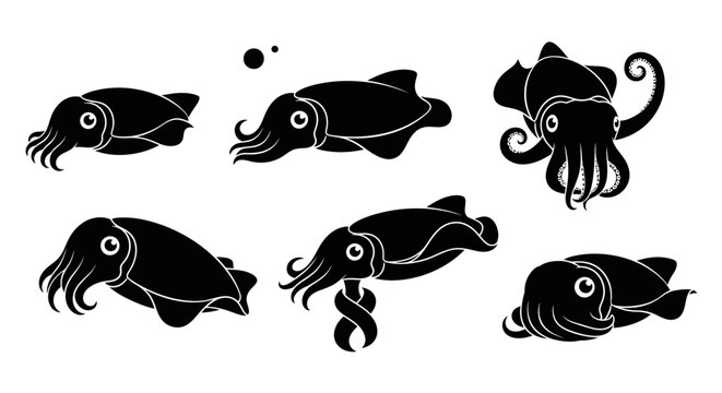 Set of Black Cuttlefish Silhouettes on White Background, Marine Life Icons