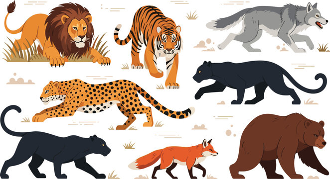 Wild Animal Collection Featuring Lion, Tiger, Wolf, Leopard, Panther, Fox, and Bear in Flat Vector Style for Wildlife Illustration and Nature Design Projects.