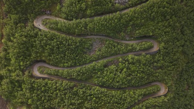 A Winding Mountain Road Snakes Through Dense Green Forest, Popular With Cyclists at Tusenmeteren, &Oslash;vre &Aring;rdal, Norway - Aerial Topdown Shot