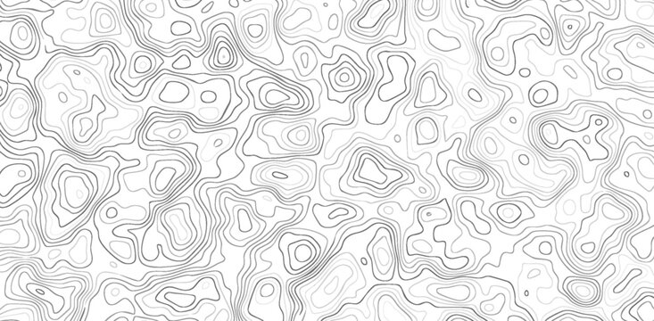 White wave paper curved reliefs abstract background Topographic map patterns, topography line map. Vintage outdoors style.