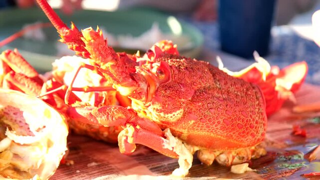 Cooked Cape Rock Lobster (crayfish) eaten by hand at table in South Africa