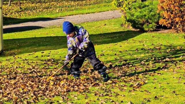 Child helping with autumn chores, raking fall leaves on a sunny day in the garden