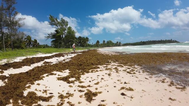 Tulum beach with white sand and sargassum washed ashore in slow motion. Turquoise Caribbean waves with natural tropical beach scenery.