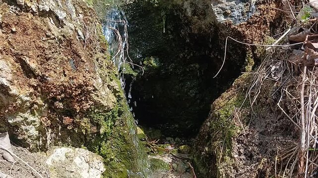 Mountain spring water on mossy stones.