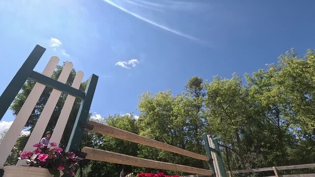 A horse jumping over an obstacle in slow motion in an outdoor arena. Filmed in slow motion.